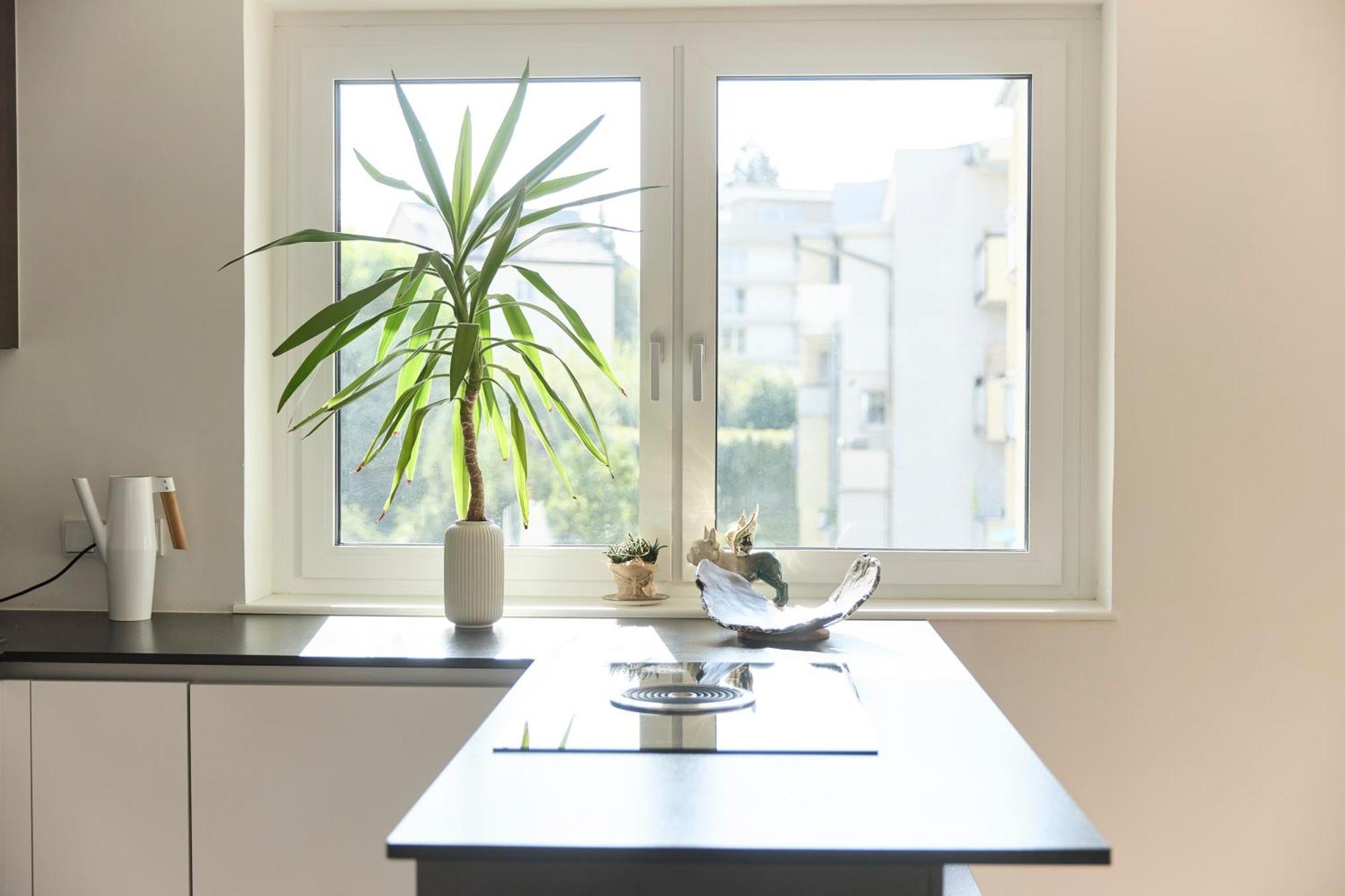 Helle Wohnung In Top Lage! Linz Buitenkant foto